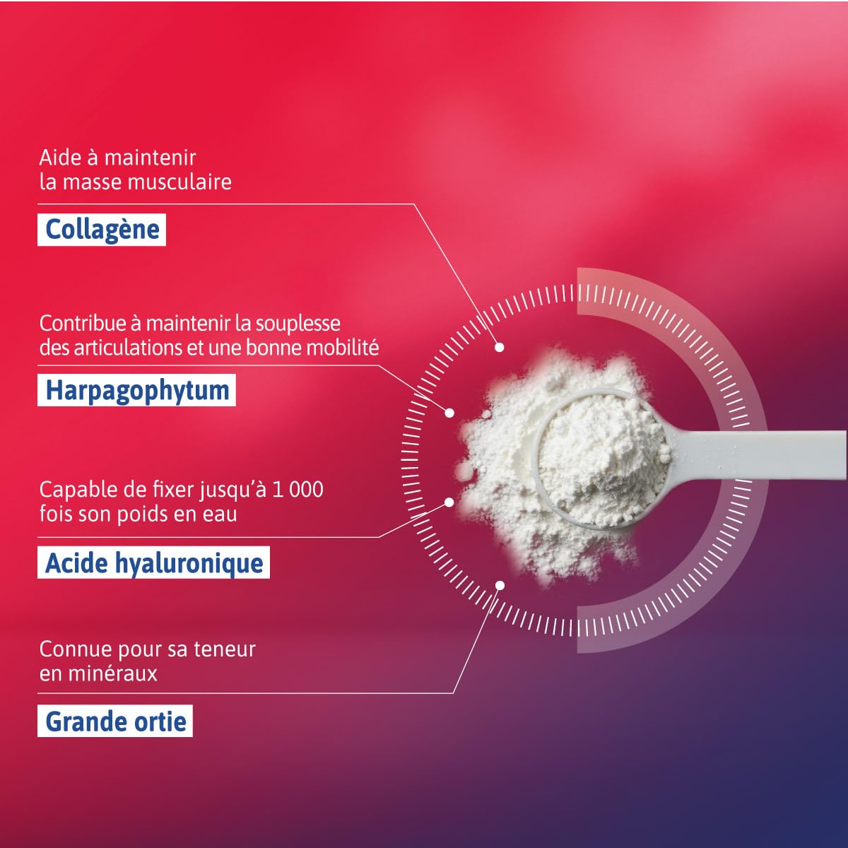 alvityl-chondroflex-collag-ne-poudre-harpagophytum-go-t-chocolat-220-g image 4