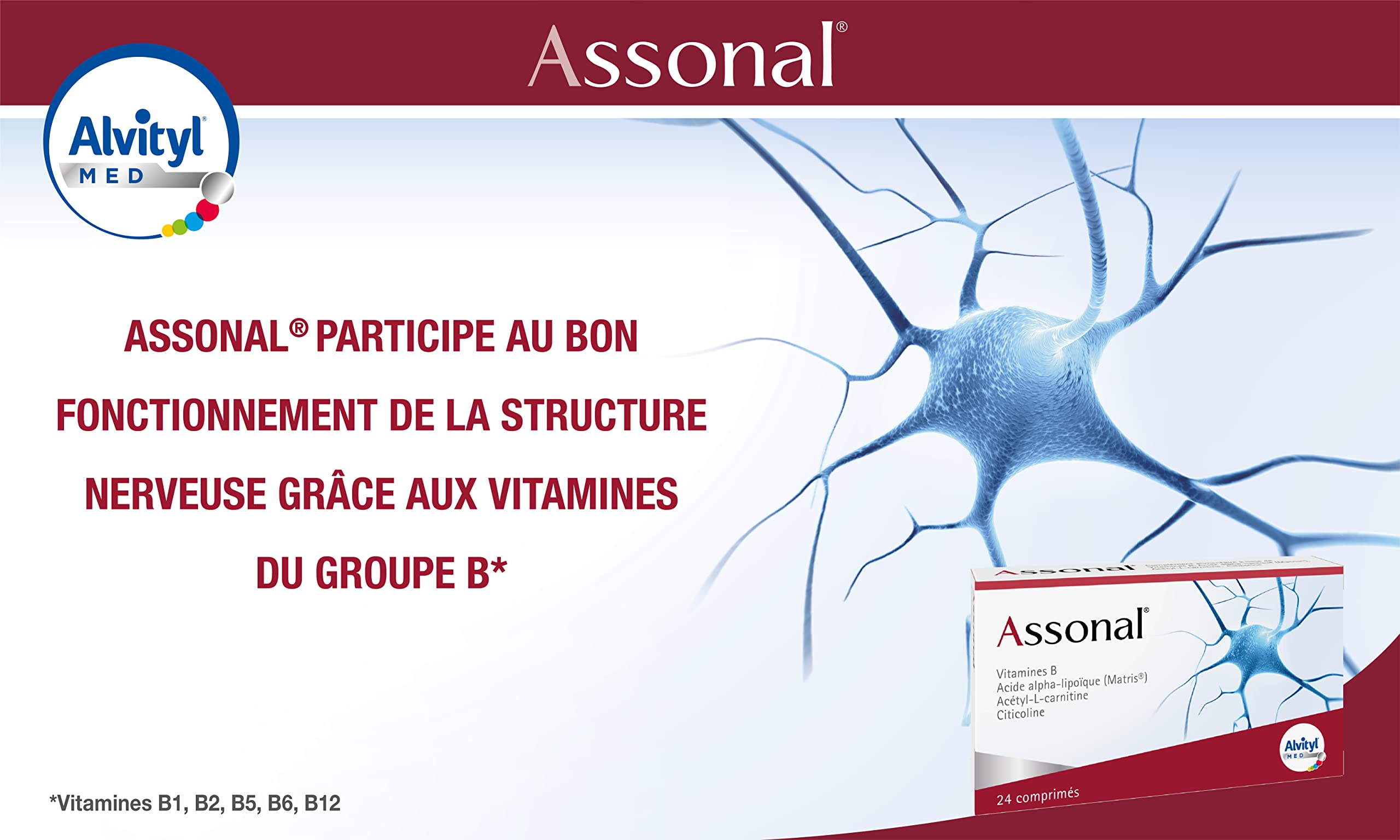 alvityl-assonal-m-tabolisme-vitamines-b-acide-alpha-lipo-que-matris-soutien-du-s image 4